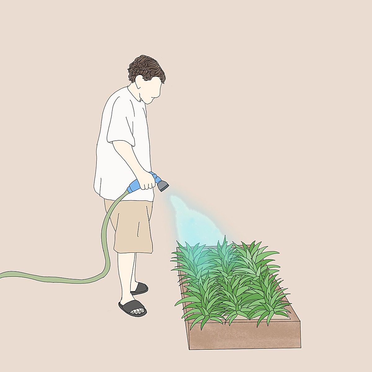 Illustration of a young man watering a vegetable garden bed